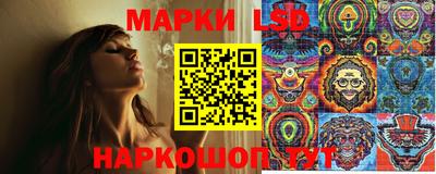 прущие грибы Брянск