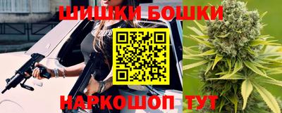 прущие грибы Брянск