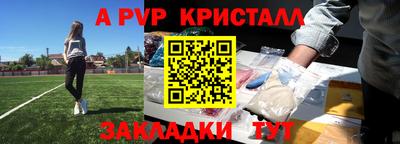 прущие грибы Брянск