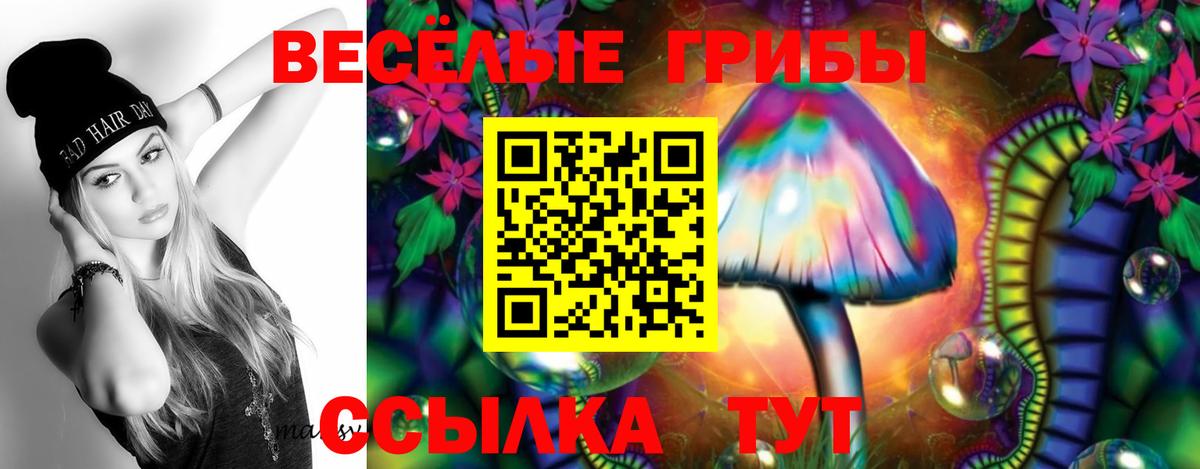 Псилоцибиновые грибы прущие грибы  Вход с VPN  Дмитров  как найти   Галлюциногенные грибы мицелий 